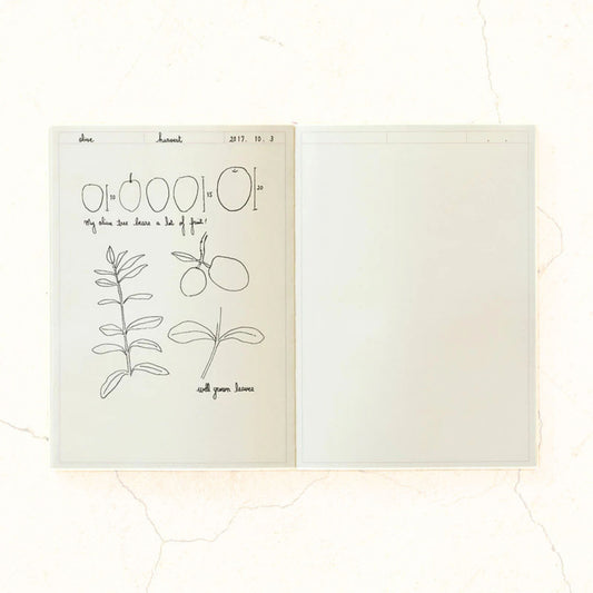 MIDORI - Notebook Journal - Frame - A5