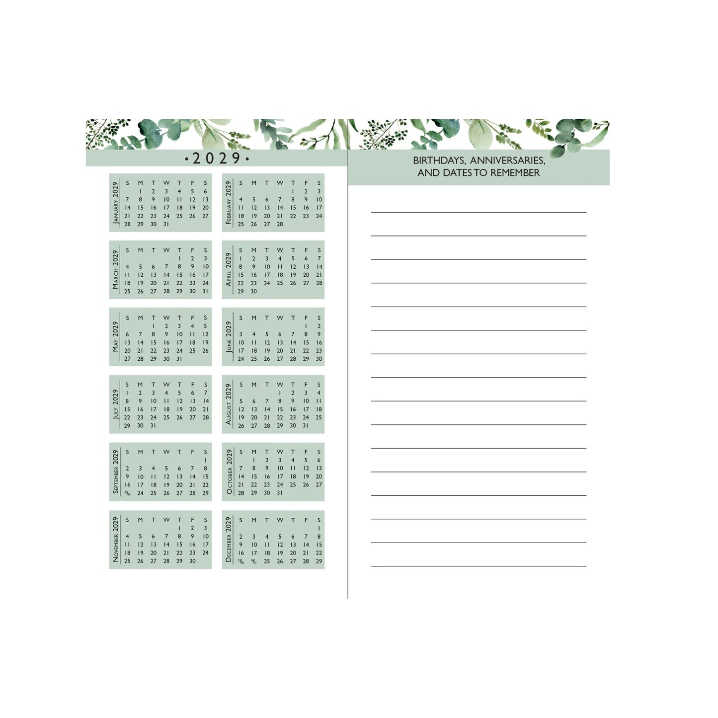 Peter Pauper Press - 2027-28 Eucalyptus 2-Year Pocket Planner