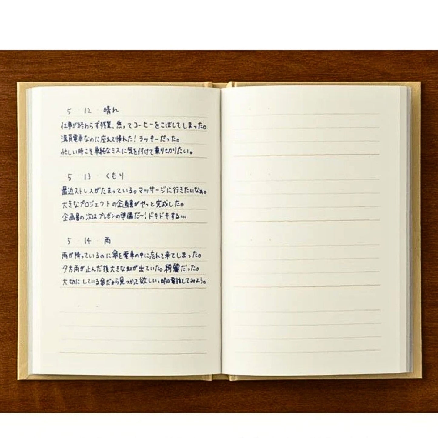 MIDORI - 3-Minute Diary