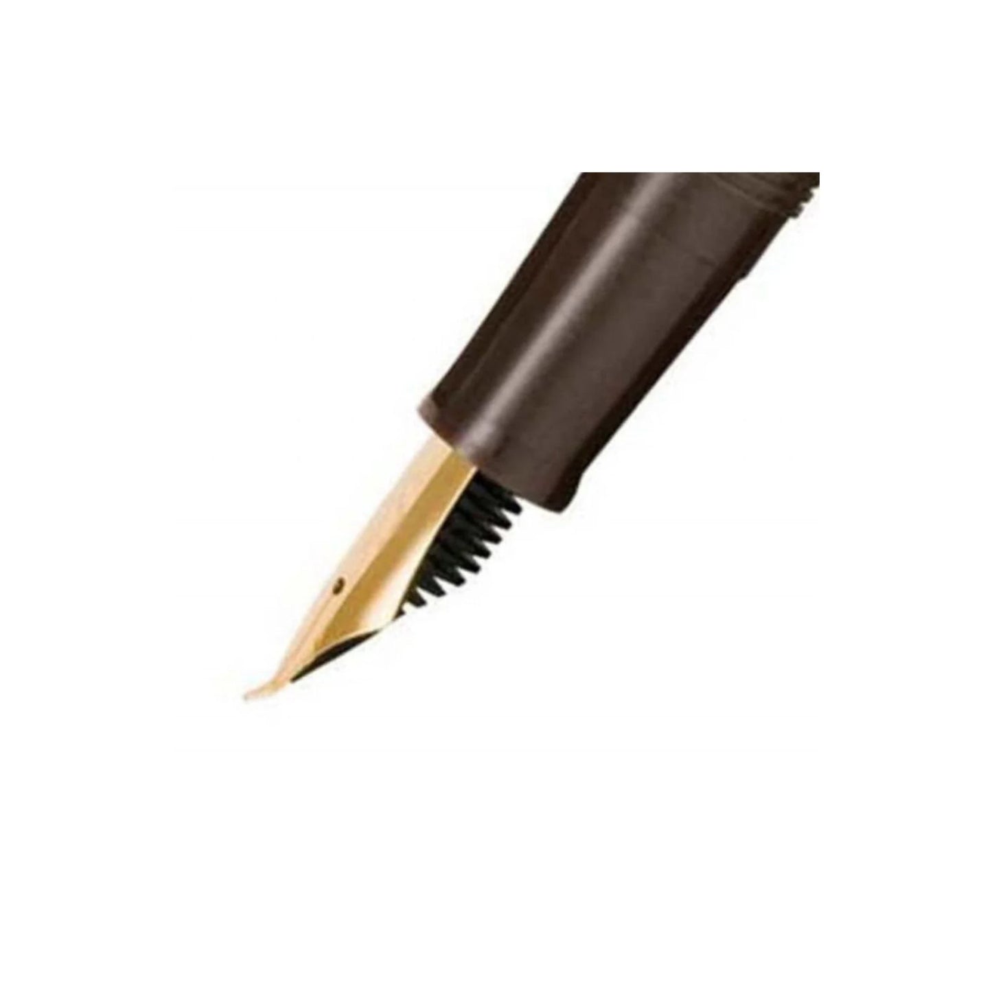 Sailor - Fude DE Mannen Calligraphy Fountain Pen 40 Degree Nib - Brown