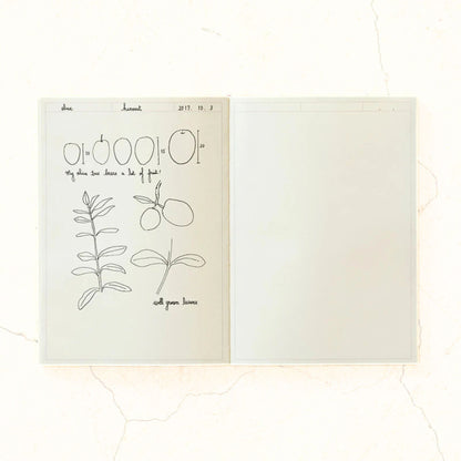 MIDORI - Notebook Journal - Frame - A5