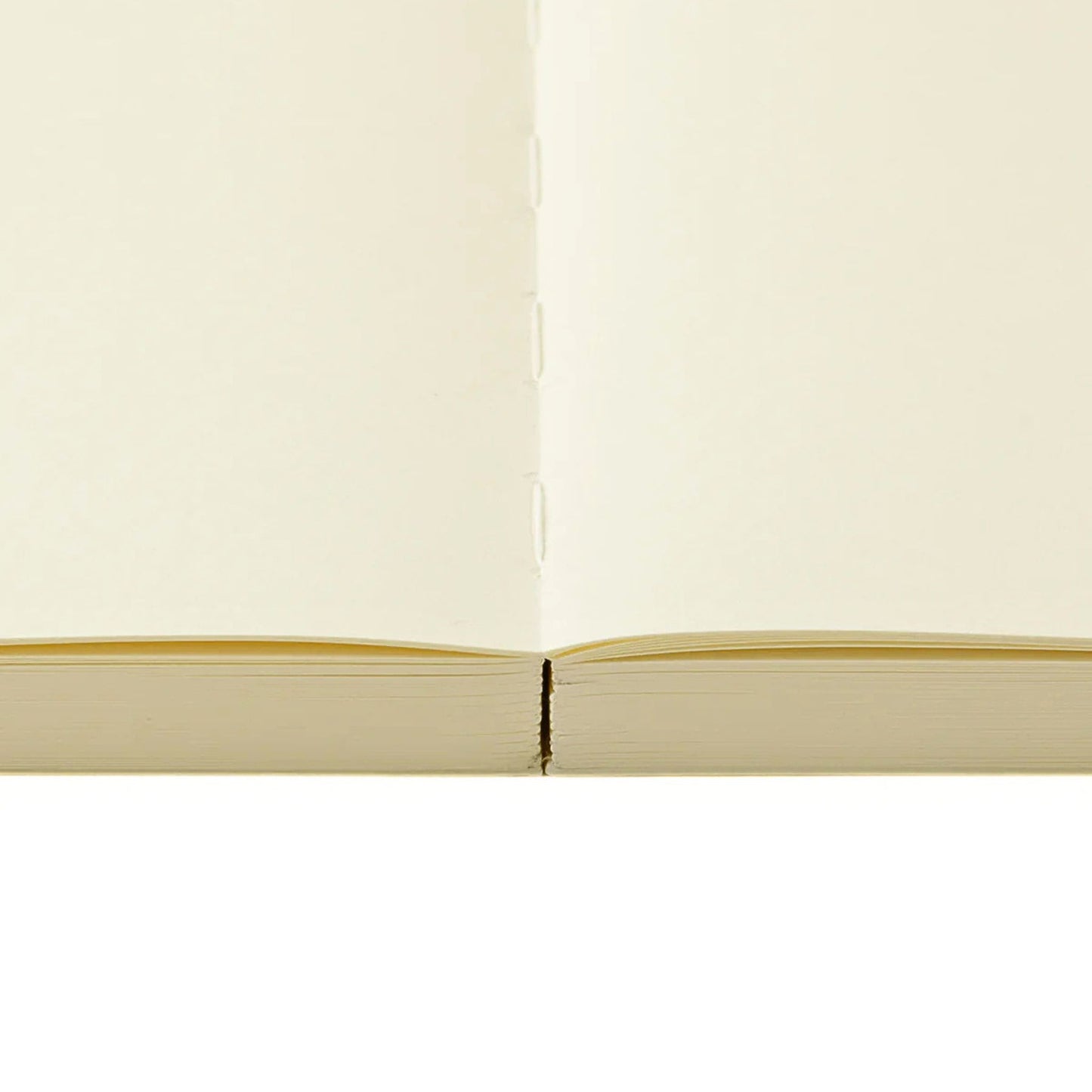 MD Product - 1 Day 1 Page A5 Codex Notebook - Blank