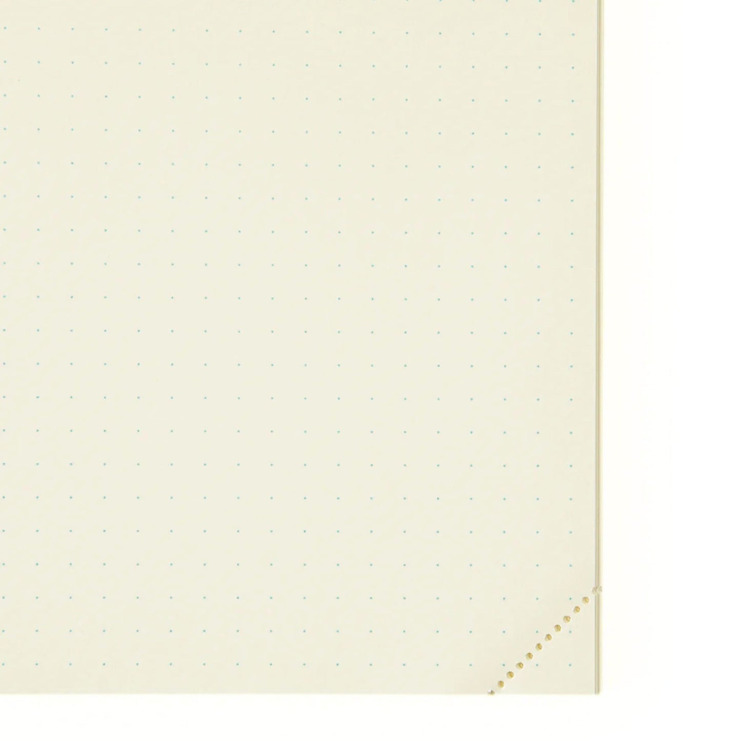 MD Product - 1 Day 1 Page A5 Codex Notebook - Dot Grid