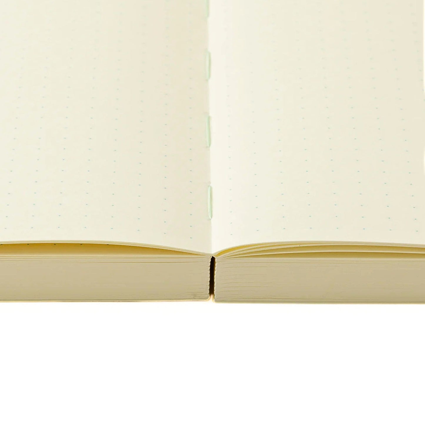 MD Product - 1 Day 1 Page A5 Codex Notebook - Dot Grid