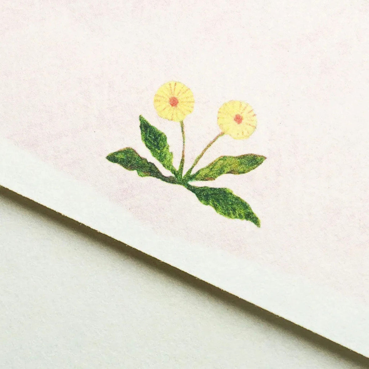 Cozyca Products - Midori Asano - Letter Set - Flower Birds