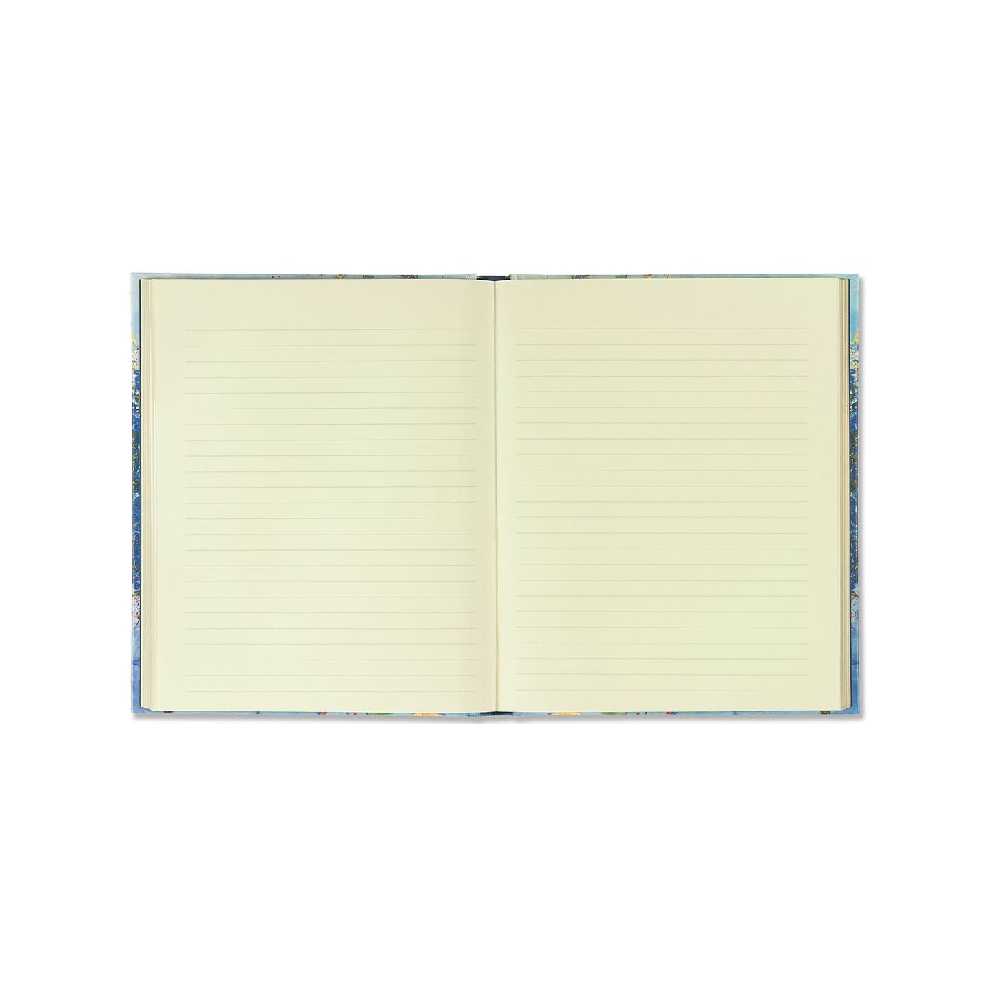 Peter Pauper Press - Azure Dreams Journal (large)