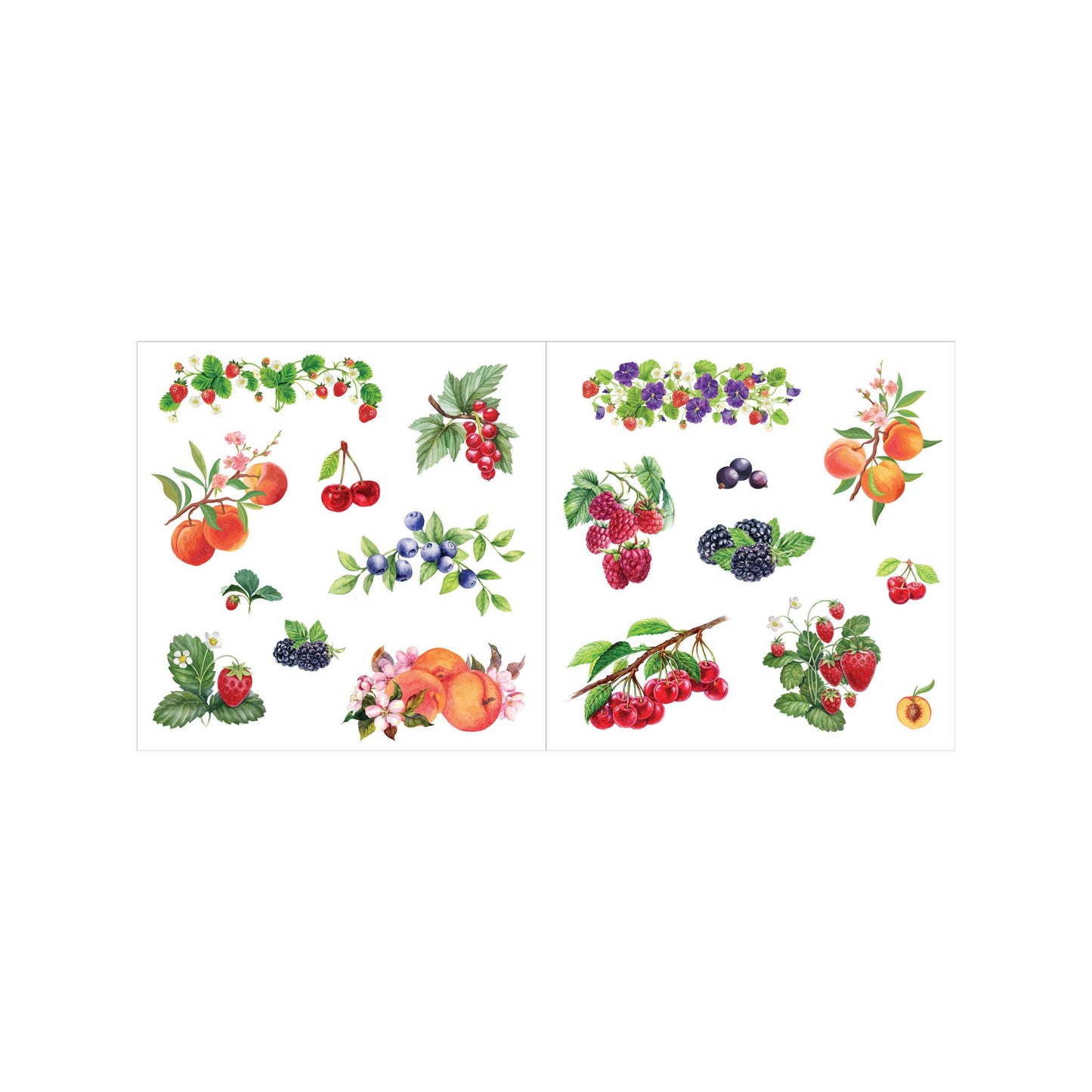Peter Pauper Press - Bunches of Botanicals! Sticker Book