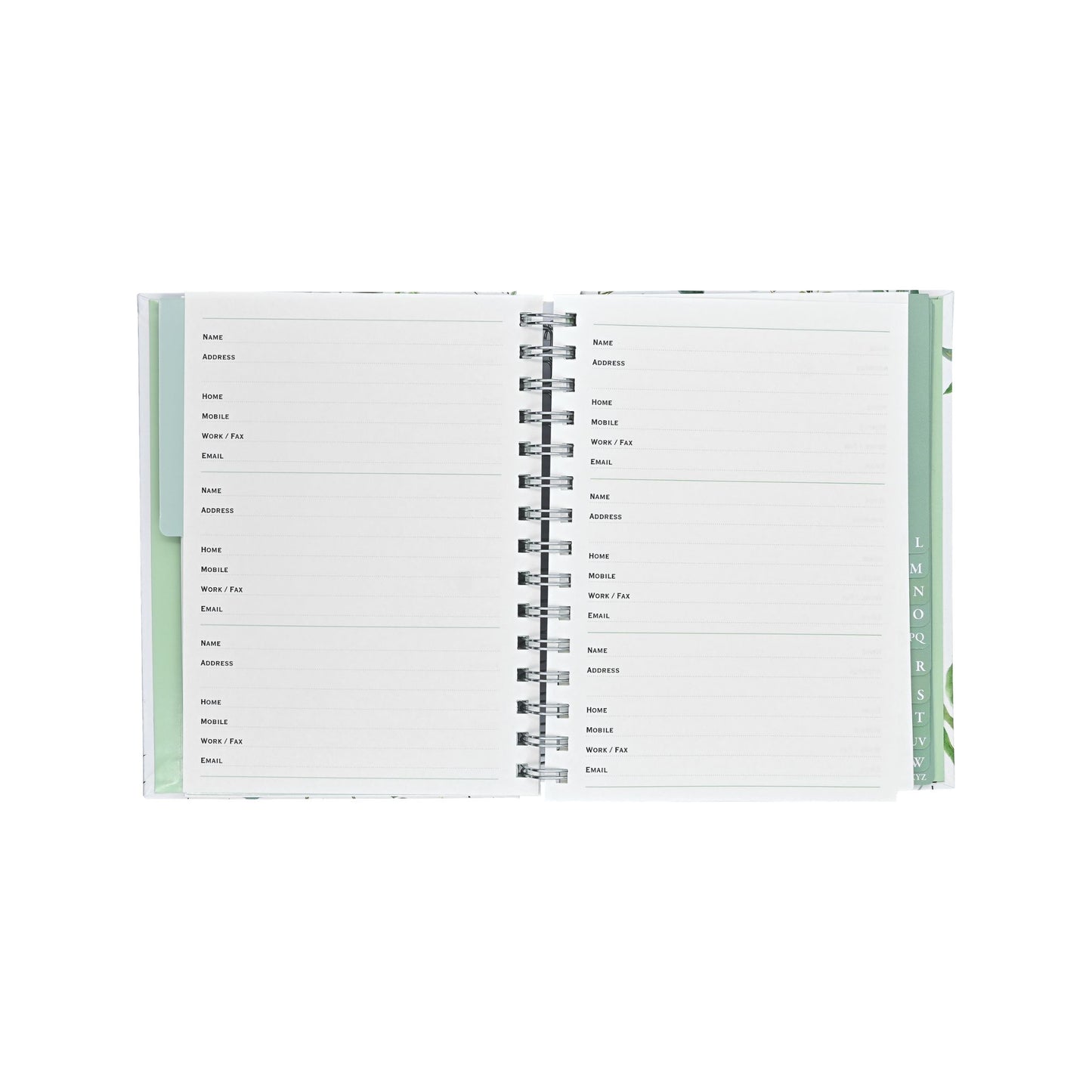 Peter Pauper Press - Eucalyptus Large Address Book