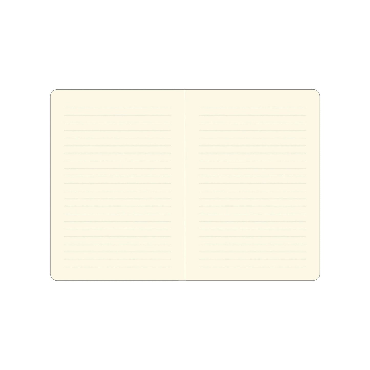 Peter Pauper Press - Blooms & Butterflies Journal (small)