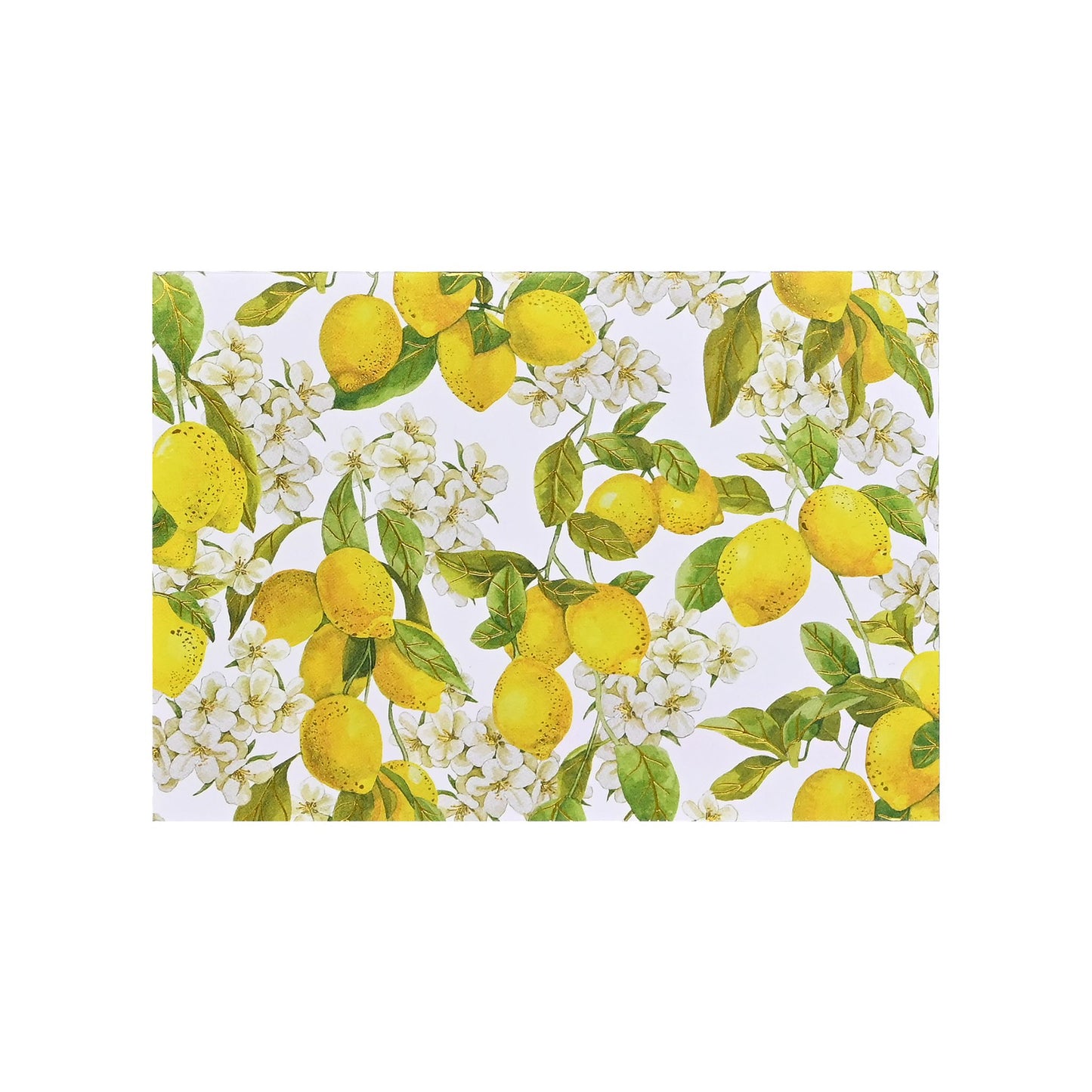 Peter Pauper Press - Amalfi Lemons Note Cards