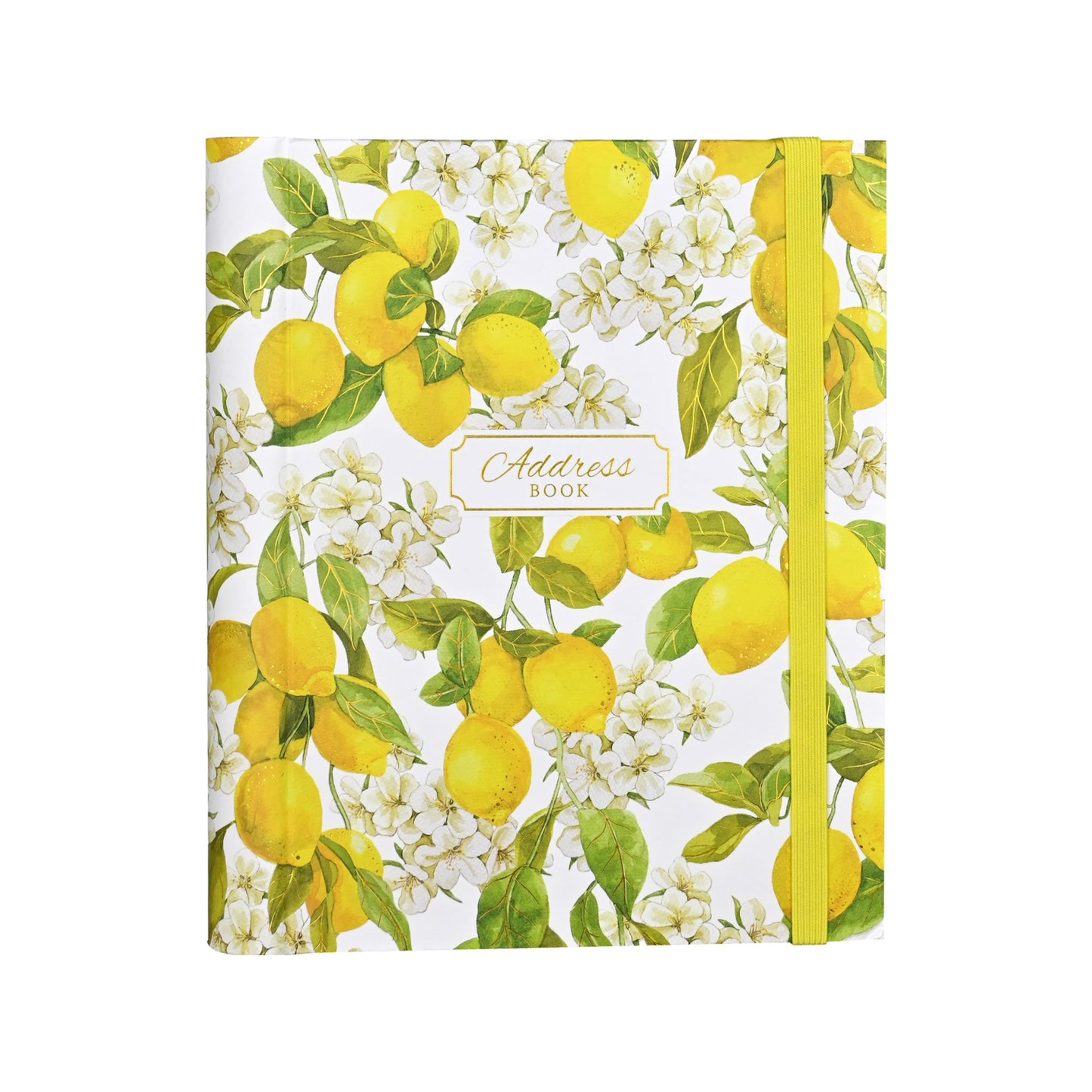 Peter Pauper Press - Amalfi Lemons Large Address Book