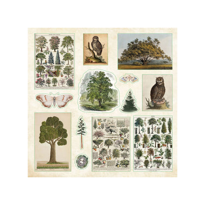 Peter Pauper Press - Enchanted Forest Sticker Book