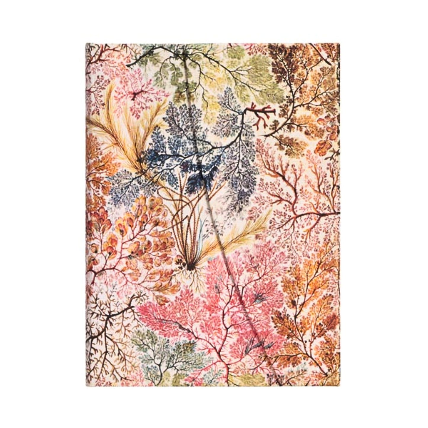 Paperblanks - William Kilburn: Anemone (midi, lined)