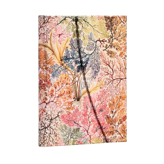 Paperblanks - William Kilburn: Anemone (midi, lined)