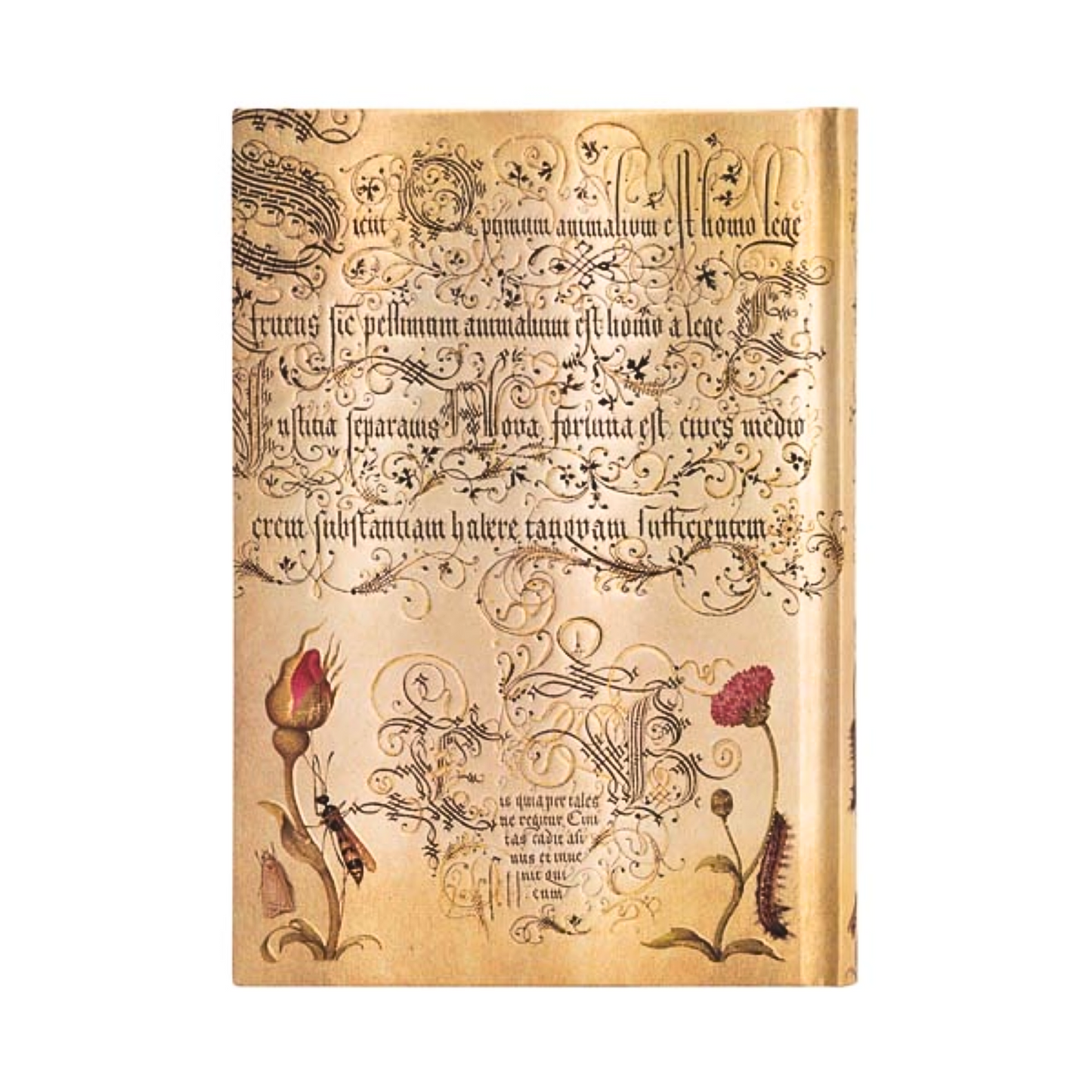 Paperblanks - Mira Botanica: Flemish Rose (midi, lined)