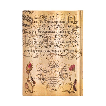 Paperblanks - Mira Botanica: Flemish Rose (midi, lined)
