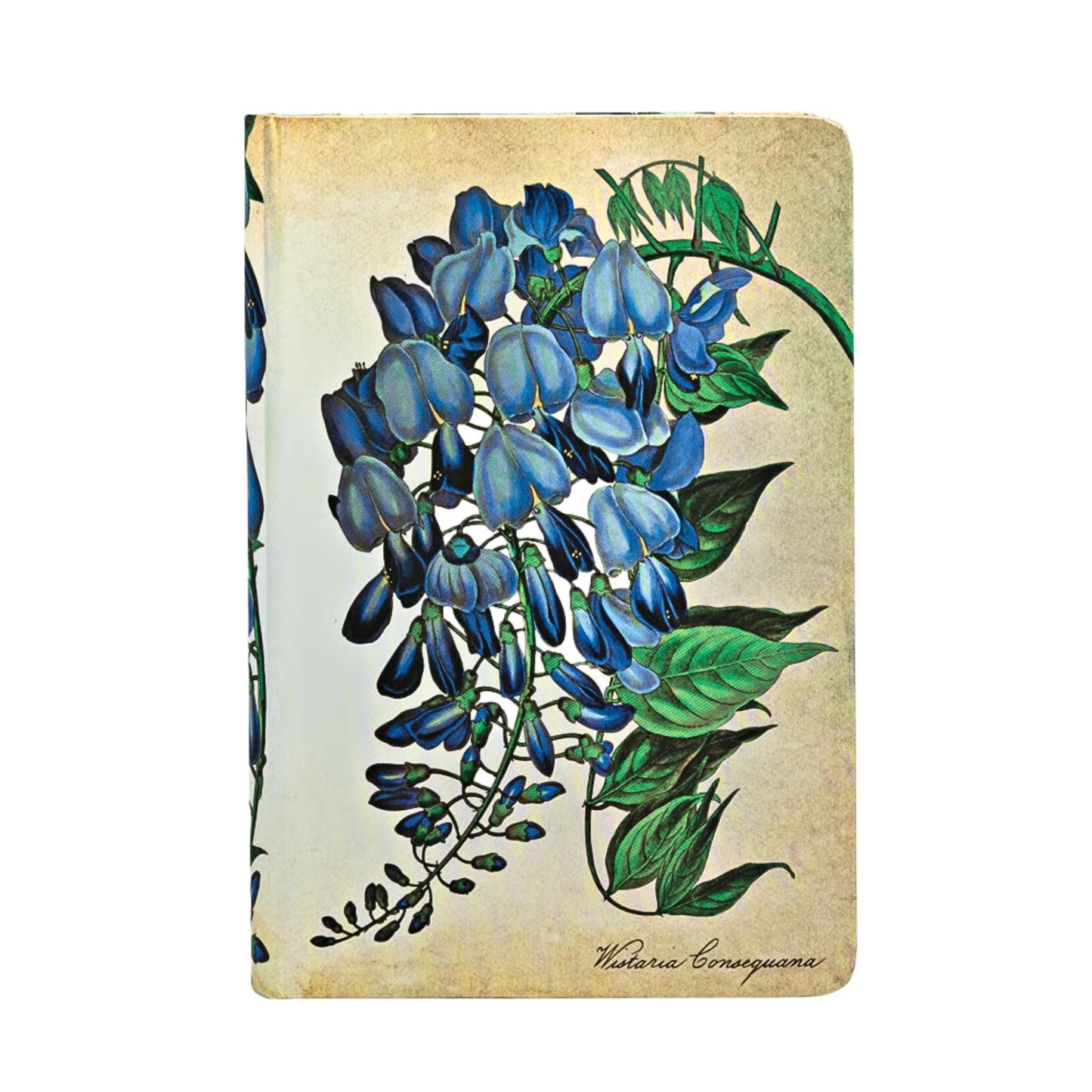 Paperblanks - Blooming Wisteria - Hardcover - Mini - Lined
