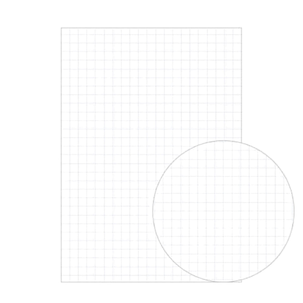 APICA - Premium - C.D. Notebook - Section - Grid / Graph - A6
