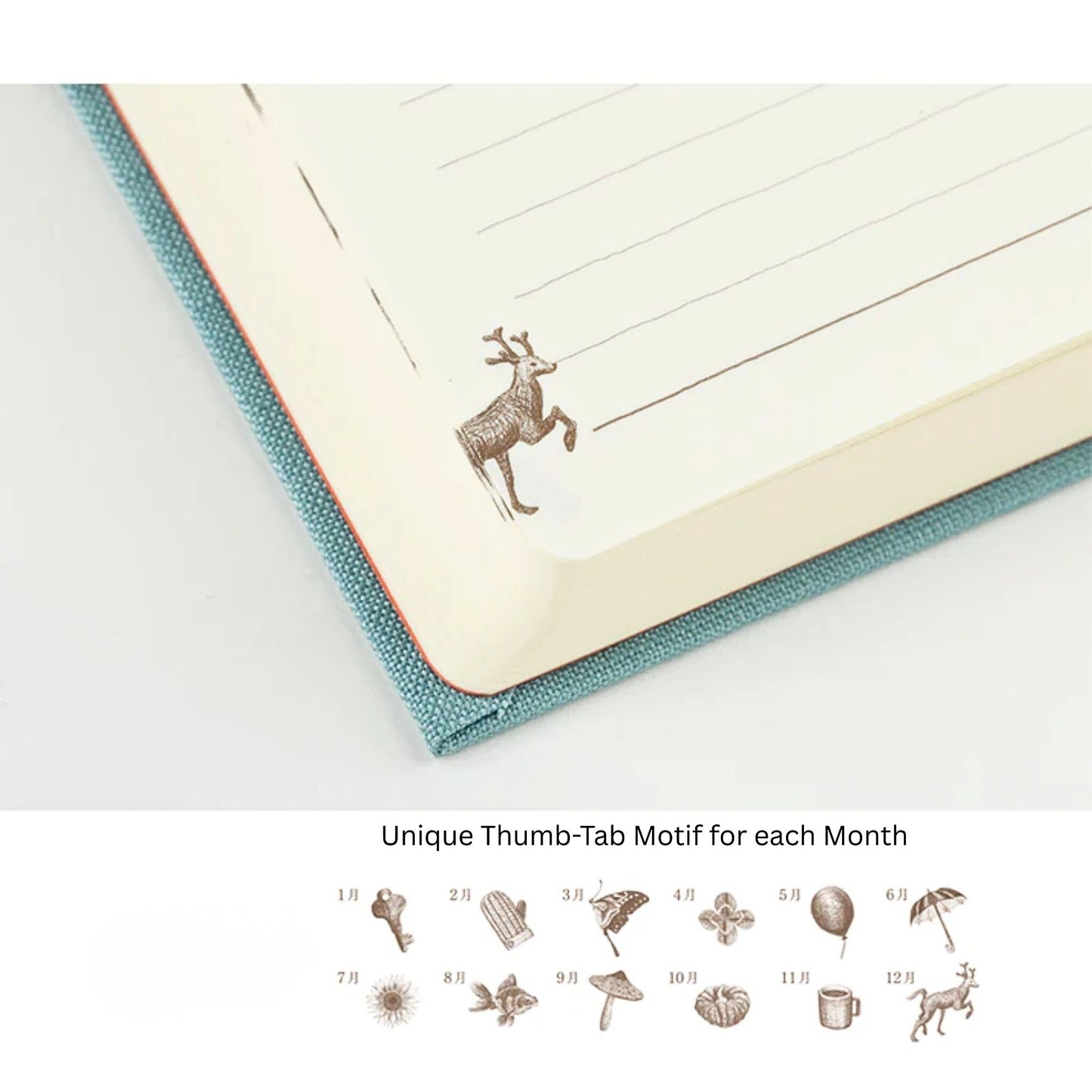 MIDORI - 3 Year Gate Diary - Blue