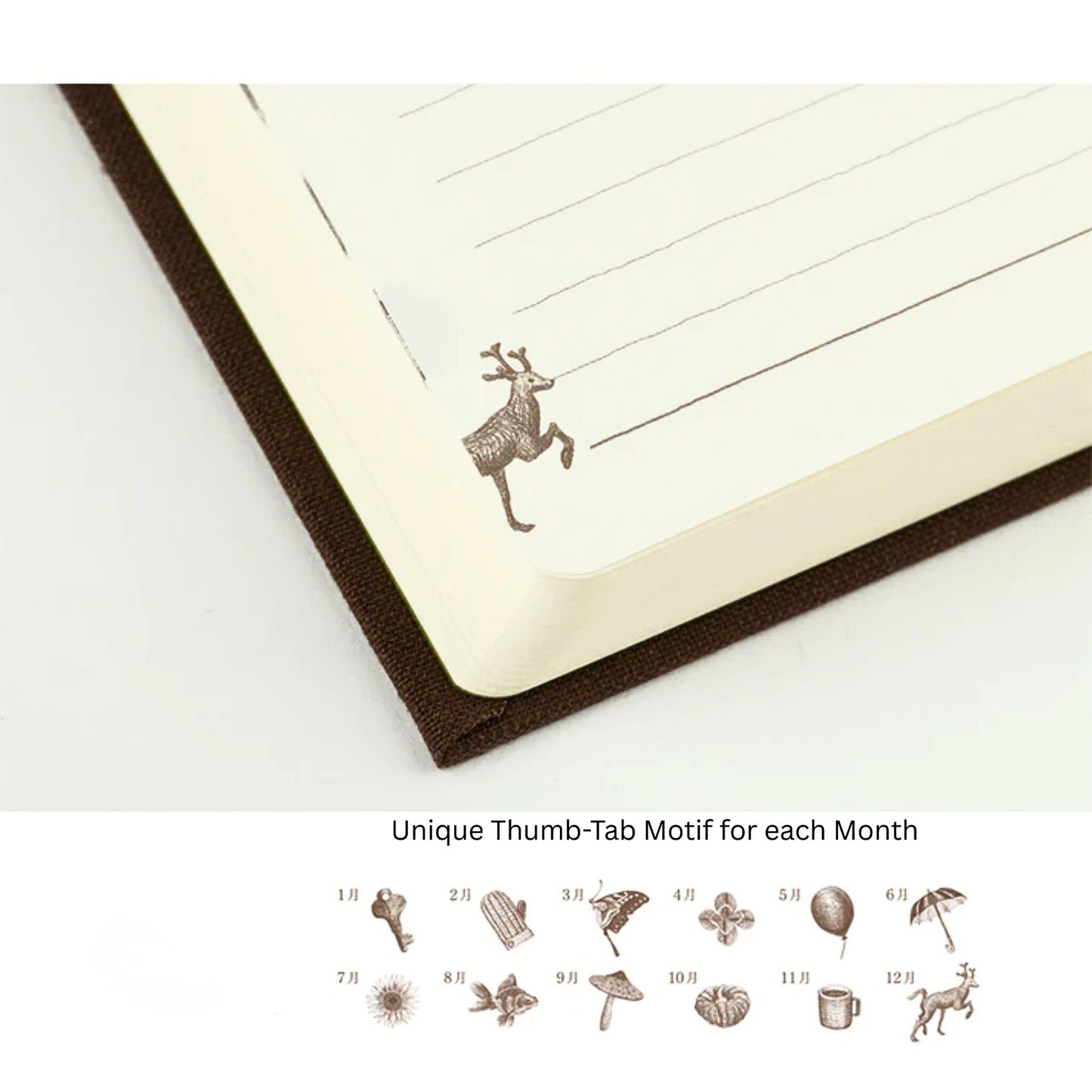 MIDORI - 3 Year Gate Diary - Brown