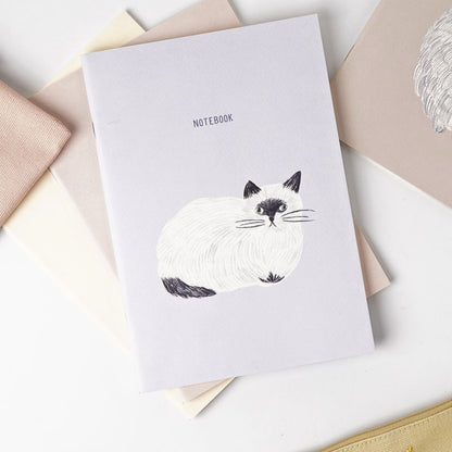 MATOKA - Miyuki Matsuo - Notebook - Repos - A5